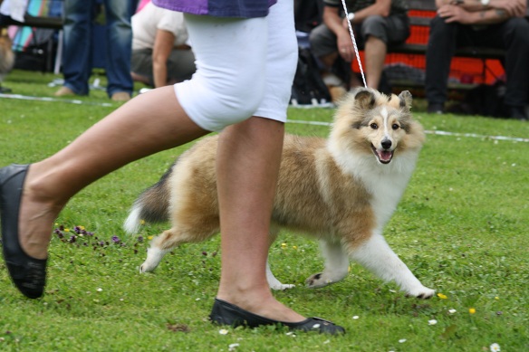 foto Stig Blom