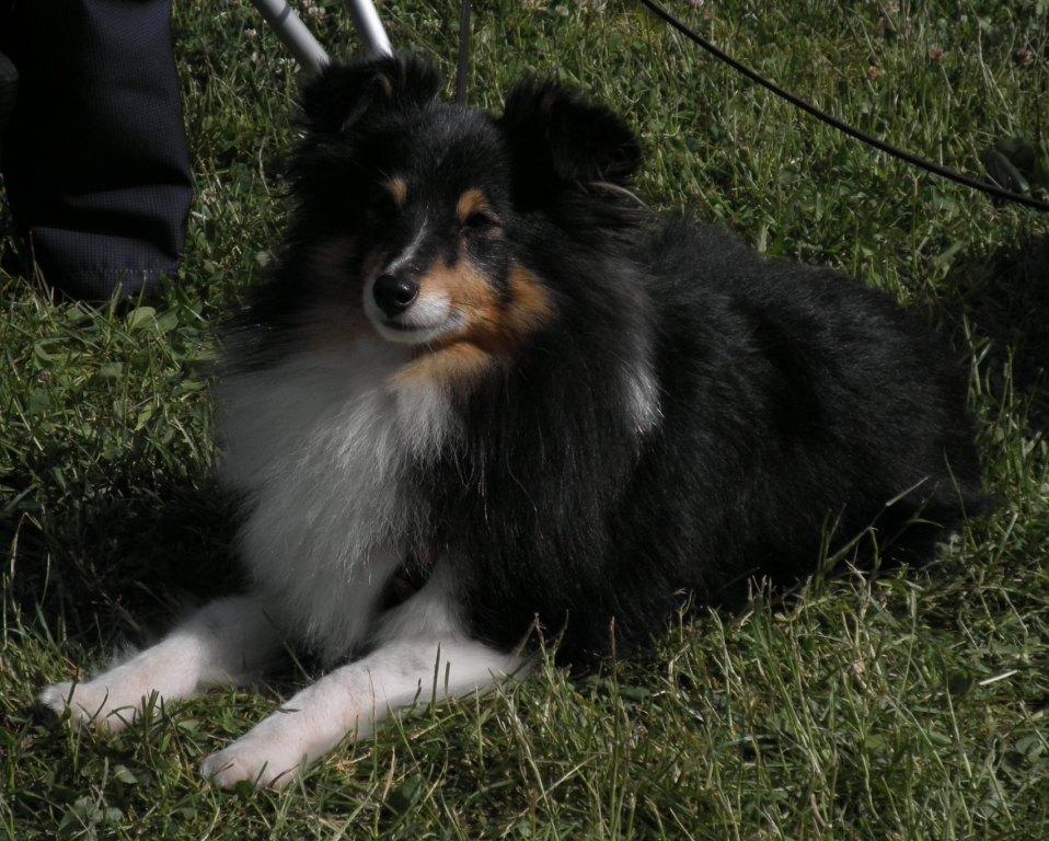 "Prinsess" Wezzla, 4 år