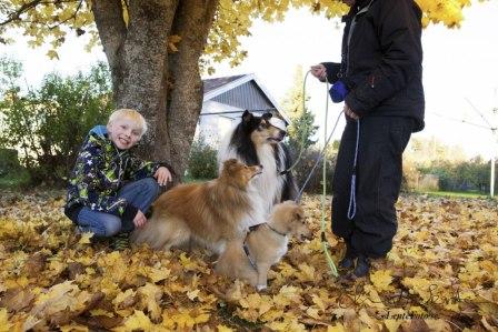 Lillhusse Tim, Vince, Musse och lilla Diesel